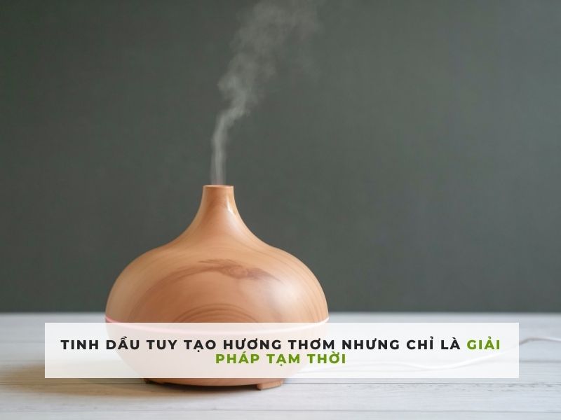 xử lý mùi hôi nhà vệ sinh