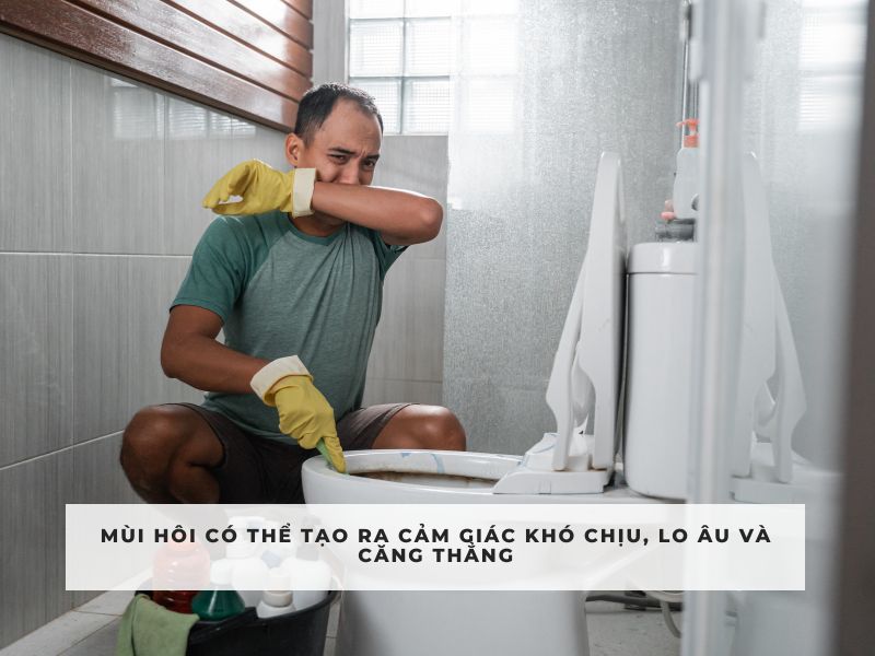 xử lý mùi hôi nhà vệ sinh chung cư