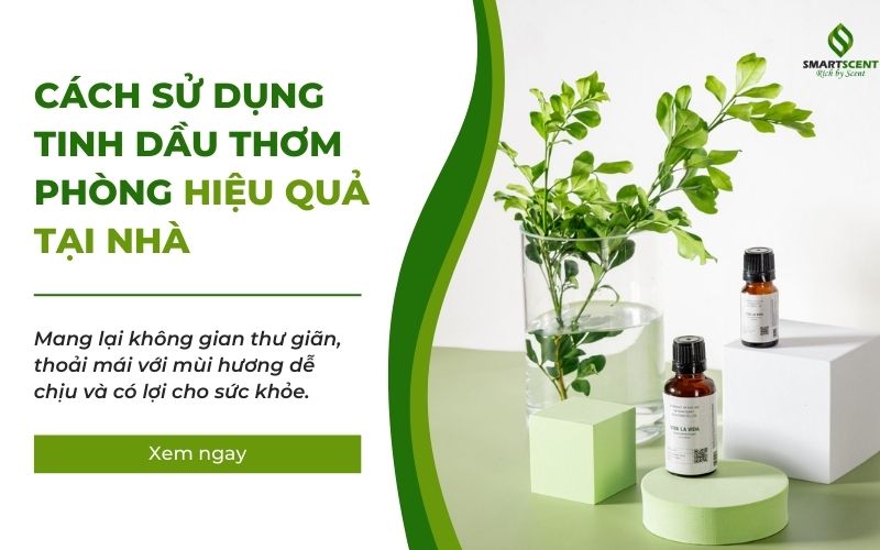 cách sử dụng tinh dầu thơm phòng