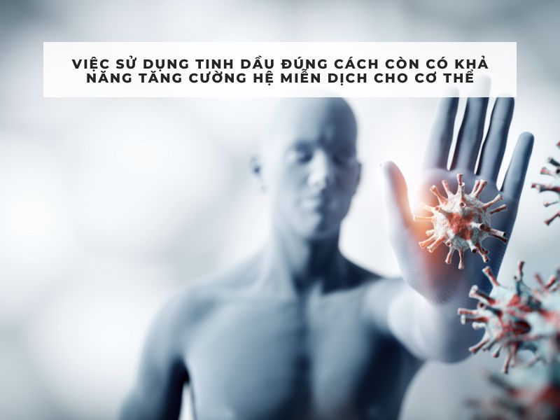 có nên xông tinh dầu trong phòng ngủ