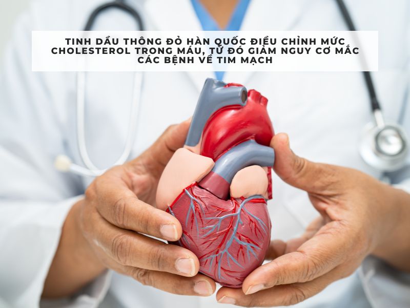 công dụng của tinh dầu thông đỏ hàn quốc 