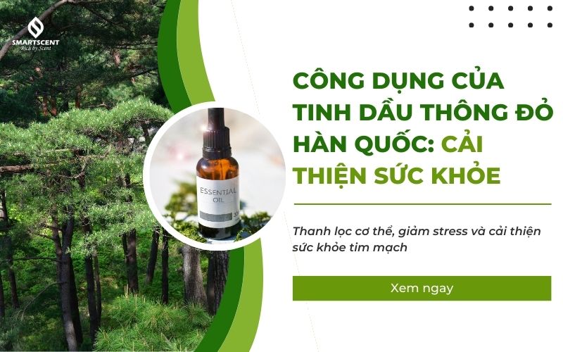 công dụng của tinh dầu thông đỏ hàn quốc