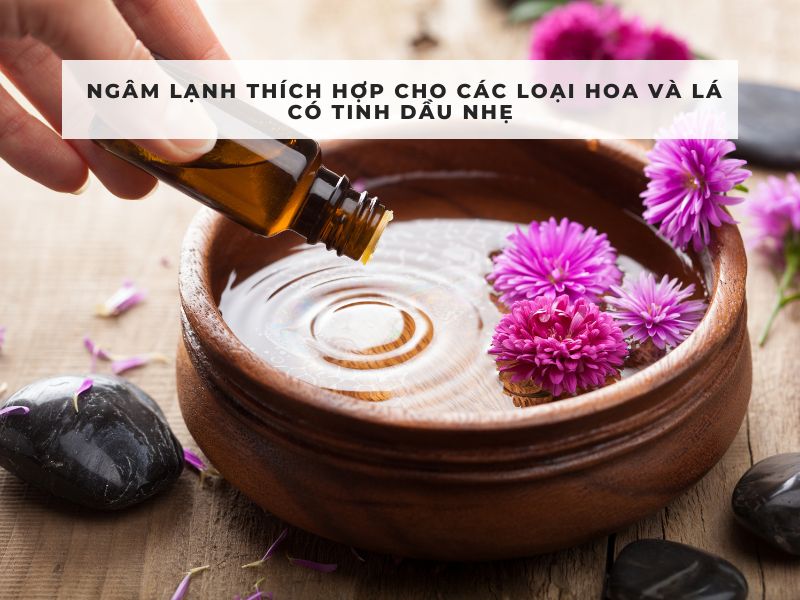 làm tinh dầu