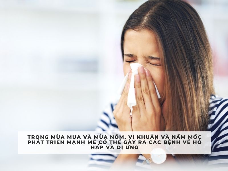 máy khử khuẩn ozone