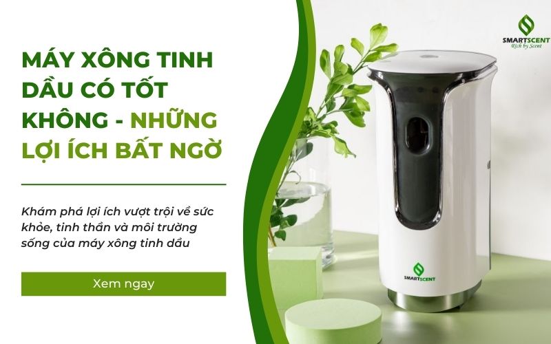 máy xông tinh dầu có tốt không