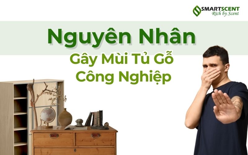 Nguyên nhân gây mùi tủ gỗ công nghiệp