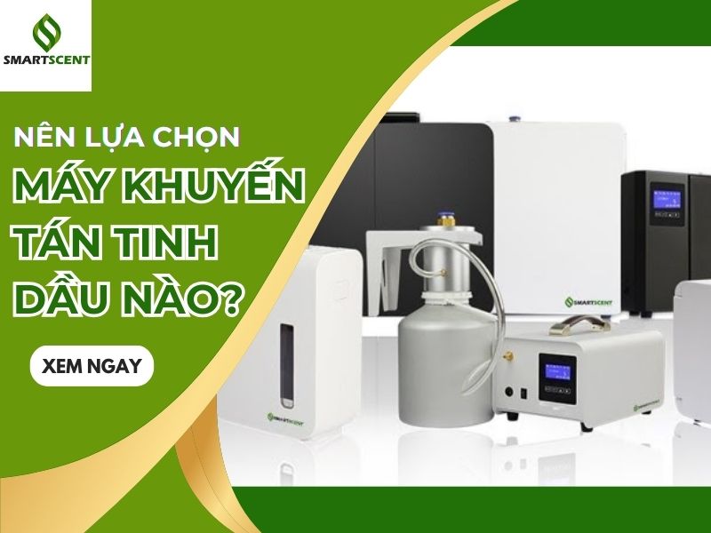 Nên lựa chọn máy khuếch tán tinh dầu nào?