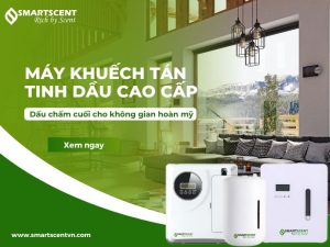 máy khuếch tán tinh dầu cao cấp