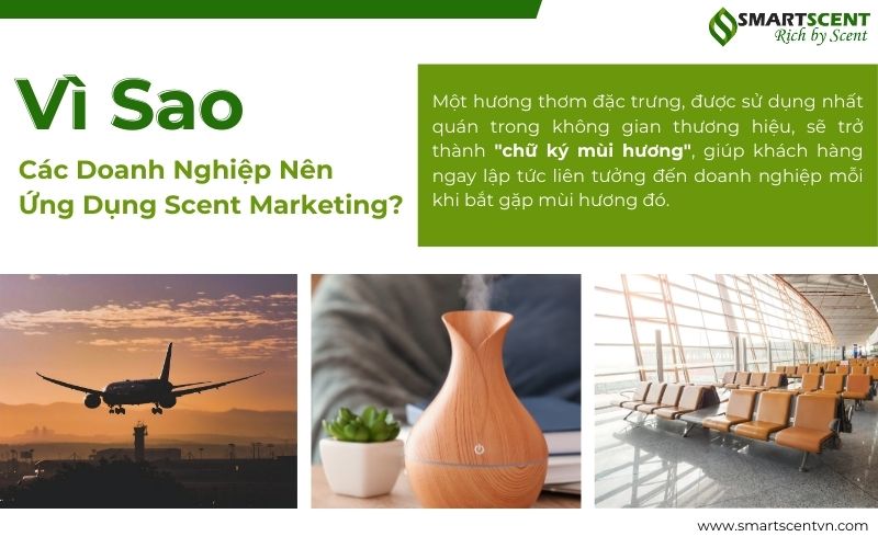 Vì Sao Các Doanh Nghiệp Nên Ứng Dụng Scent Marketing?