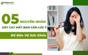 Nguyên Nhân Gây Cay Mắt Bạn Cần Lưu Ý Để Bảo Vệ Sức Khỏe