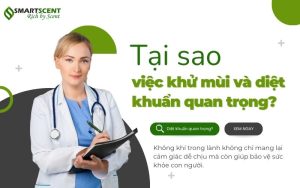 Máy Ozone – Giải pháp khử mùi mạnh mẽ & hiệu quả vượt trội
