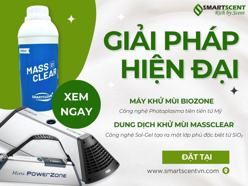 Sử dụng máy khử mùi Biozone và dung dịch MassClear khử mùi Formaldehyde