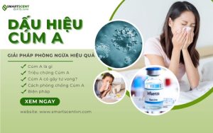 hinh-1-dau-hieu-cum-A-giai-phap-phong-chong-hieu-qua