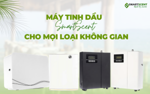giai-phap-may-tinh-dau-cho-moi-khong-gian