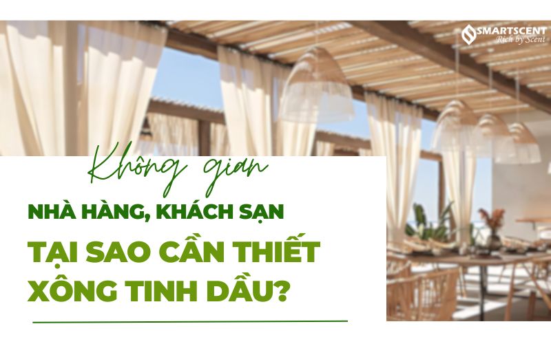 loi-ich-cua-xong-tinh-dau