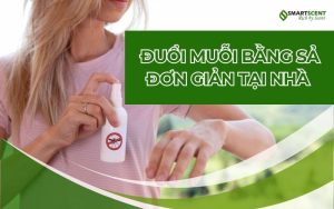 duoi-muoi-bang-sa-don-gian-tai-nha