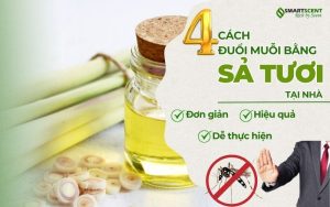 4-cach-duoi-muoi-bang-sa-tuoi