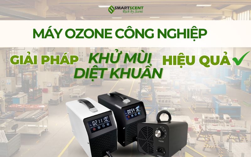 giai-phap-khu-mui-diet-khuan-hieu-qua
