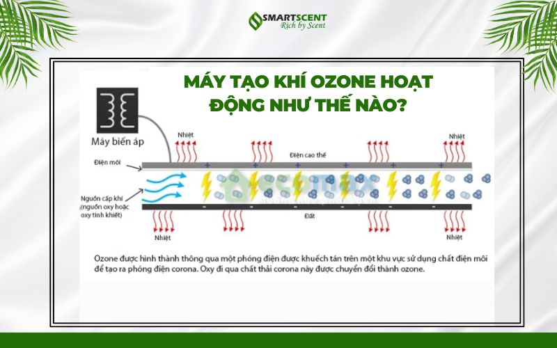 may-tao-khi-ozone-hoat-dong-nhu-the-nao