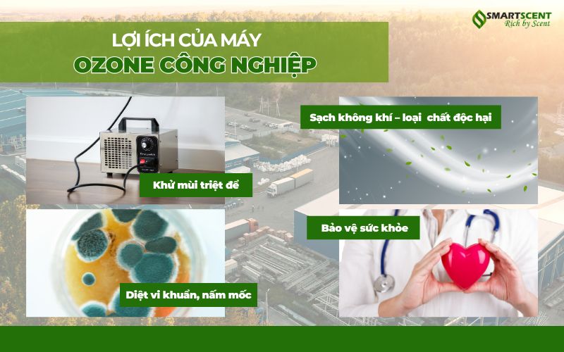 loi-ich-cua-may-ozone-cong-nghiep