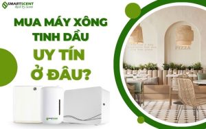 mua-may-xong-tinh-dau-uy-tin-o-dau