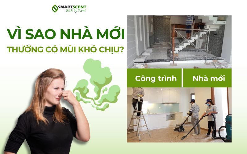 vi-sao-nha-moi-thuong-co-mui