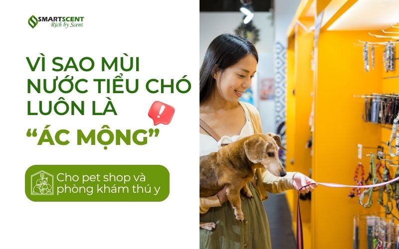 vi-sao-mui-nuoc-tieu-cho-meo-luon-la-ac-mong-voi-cac-pet-shop