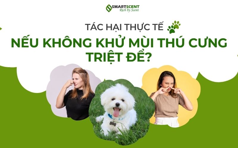 tac-hai-thuc-te-neu-khong-khu-mui-thu-cung-triet-de
