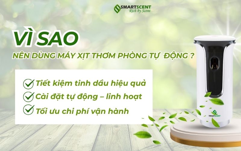 Vi-sao-nen-dung-may-xit-thom-phong-tu-dong