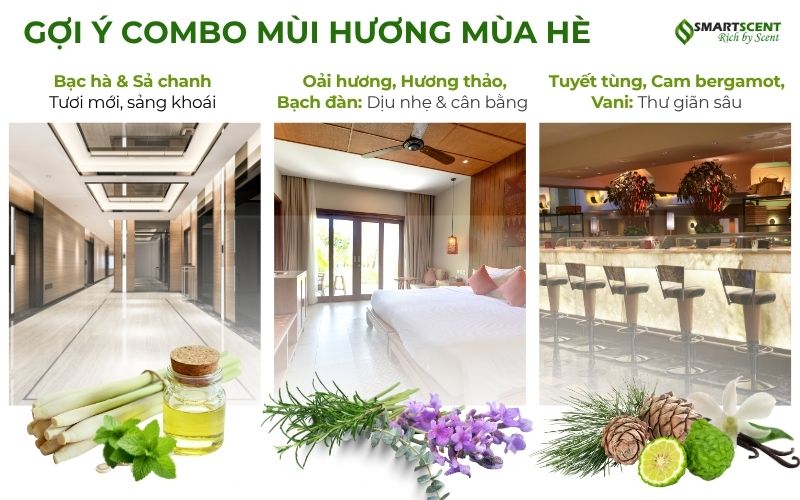 com-bo-mui-huong-mua-he
