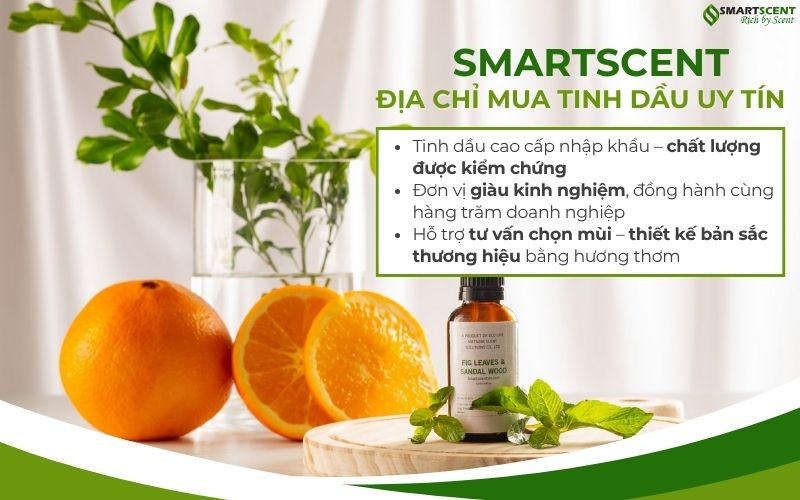 smartscent-dia-chi-mua-uy-tin