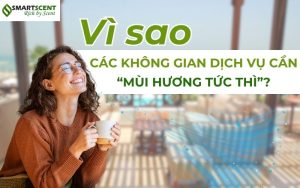 vi-sao-cac-khong-gian-dich-vu-can-mui-huong-tuc-thi-voi-xit-phong-cao-cap