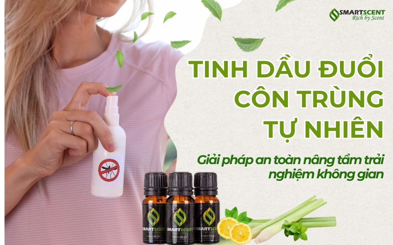 goi-y-nhung-tinh-dau-duoi-con-trung-hieu-qua