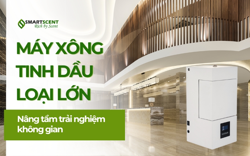 may-xong-tinh-dau-loai-lon