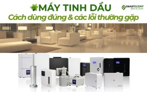 may-tinh-dau