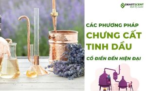 cac-phuong-phap-chung-cat-tinh-dau-tu-co-dien-den-hien-dai