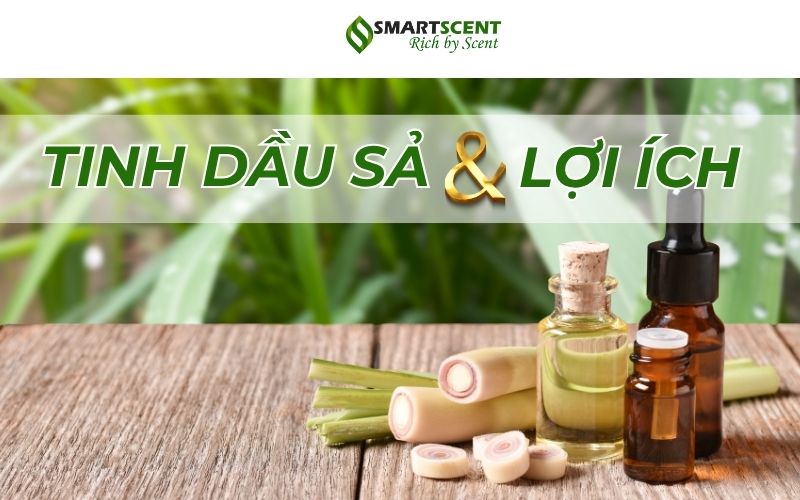 Tinh-dau-sa-va-loi-ich