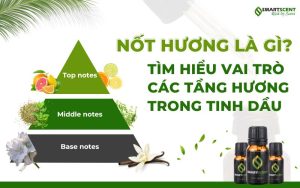 not-huong-la-gi