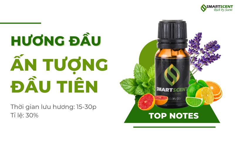 huong-dau-an-tuong-dau-tien
