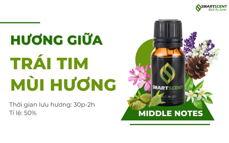 huong-giua-trai-tim-mui-huong