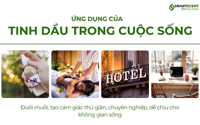 ung-dung-cua-tinh-dau-trong-cuoc-song