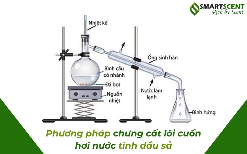 phuong-phap-loi-cuon-hoi-nuoc-tinh-dau-sa