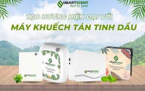 tao-huong-hien-dai-voi-ay-khuech-tan-tinh-dau