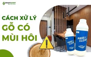 cach-xu-ly-go-co-mui-hoi-de-giu-khong-gian-song-trong-lanh