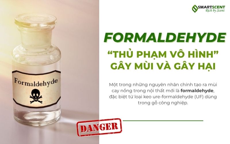 formaldehyde-thu-pham-vo-hinh-gay-mui-va-gay-hai