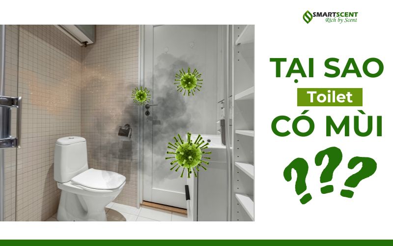 tai-sao-toilet-co-mui-hoi