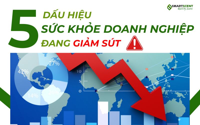 5-dau-hieu-cho-thay-dang-giam-sut