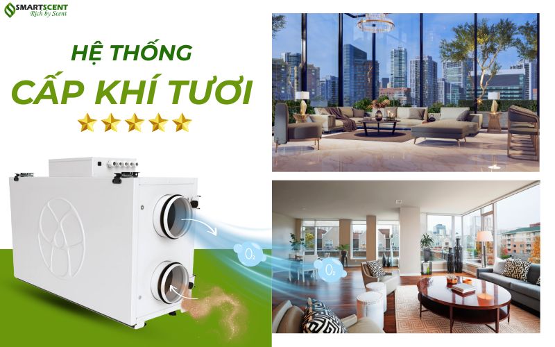 khi-tuoi