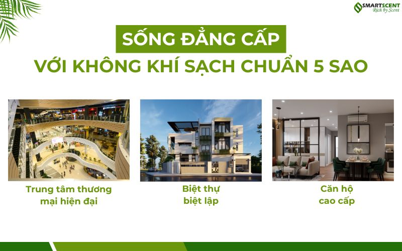 song-dang-cap-khong-khi-sach-chuan-5-sao