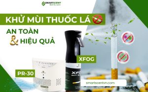 Khu-mui-thuoc-la-an-toan-hieu-qua-binh-xot-khu-mui-x-fog